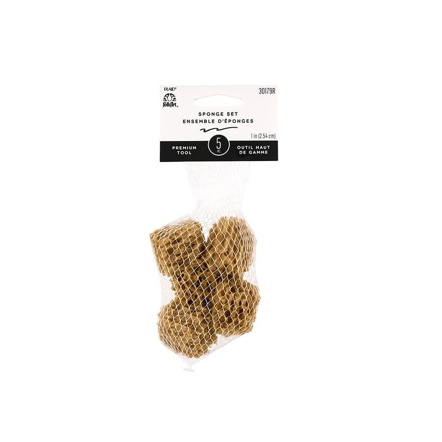 Sponges - Value Pack - 5-Piece