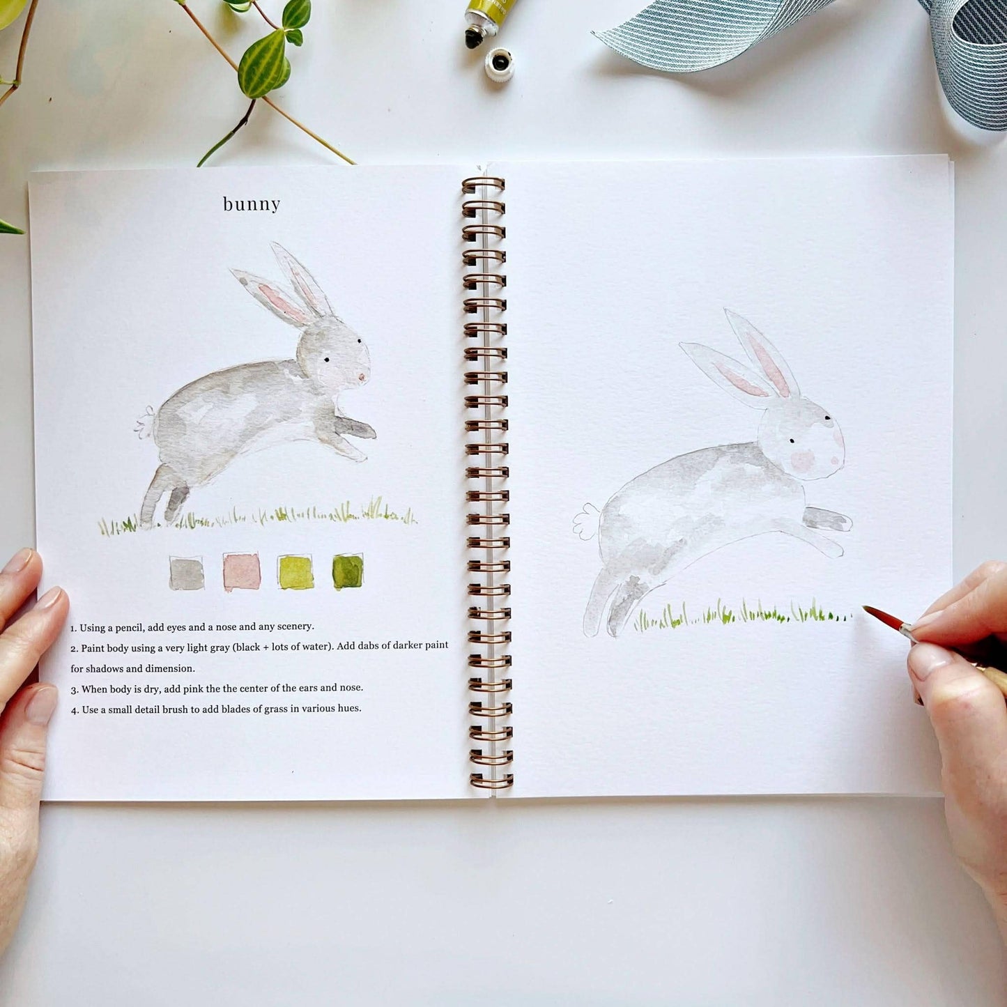 Workbook - Animals watercolor workbook