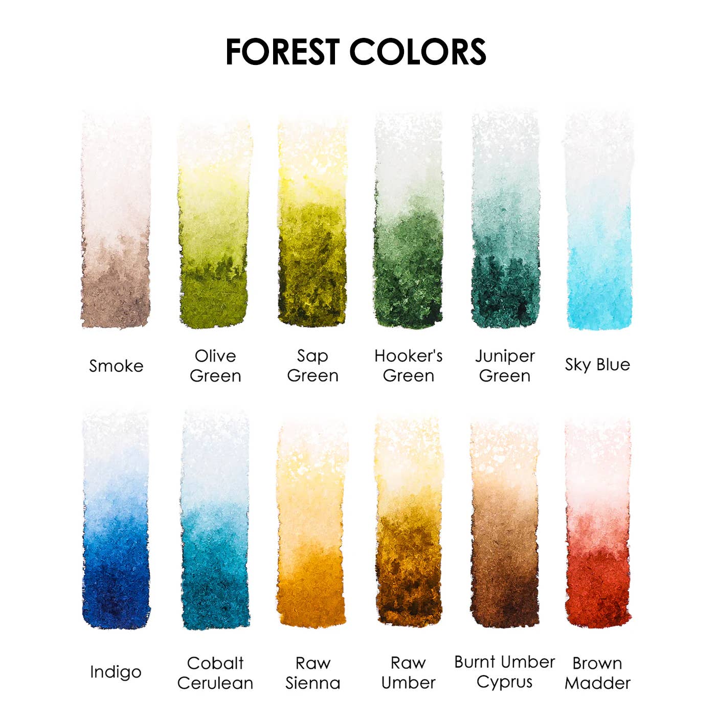 Watercolor - Watercolor Pocket Set of 12 No Brush - Forest Colors