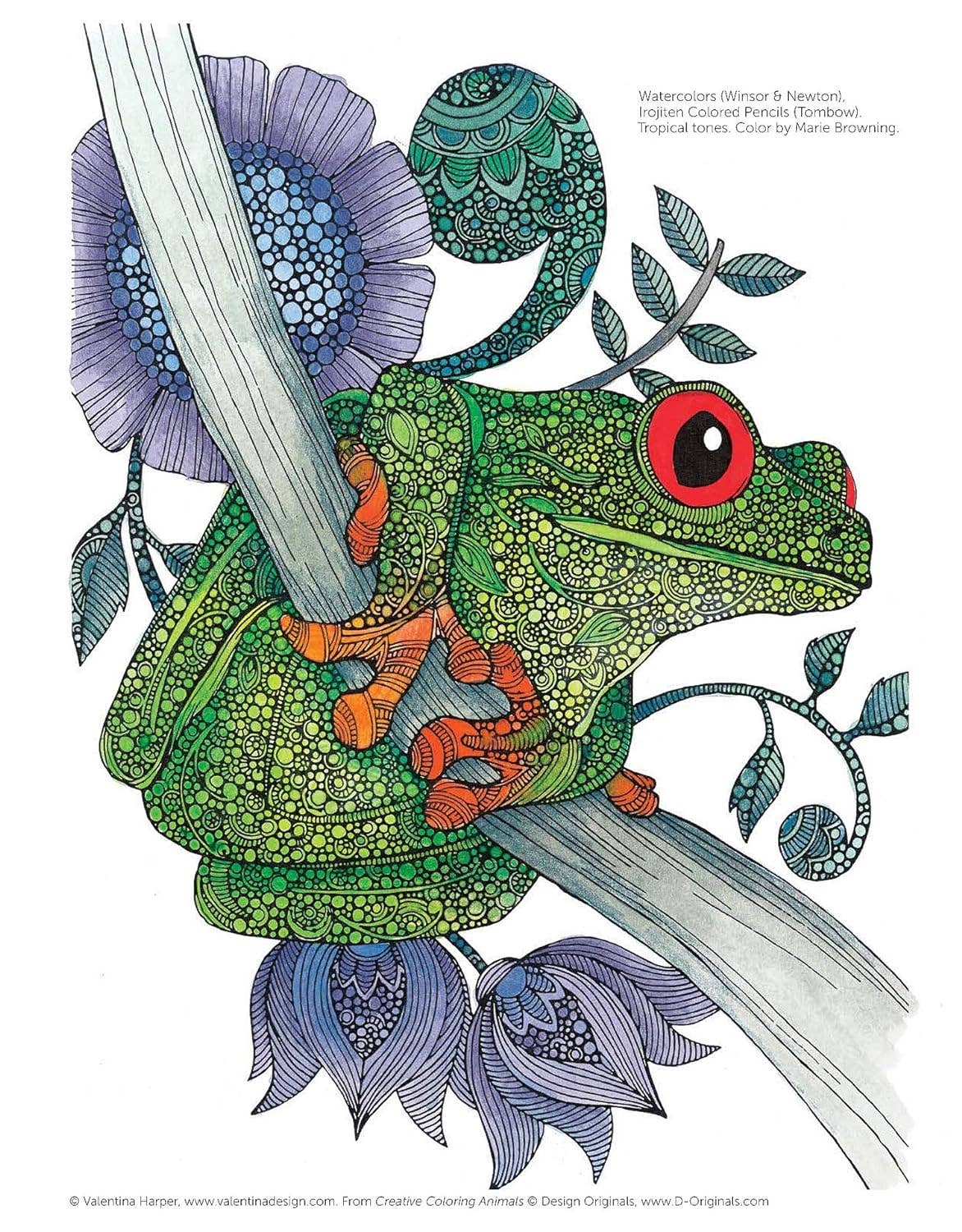 Coloring Book - Creative Coloring Animals - Richly Detailed Designs