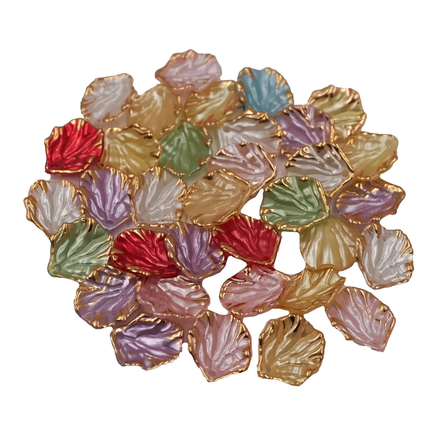 Beads - Clam Shell Bead - Multi Color