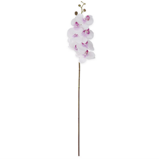 Flower - 34.5 Inch White & Purple Real Touch Orchid Single Stem