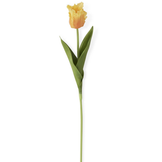 Flower - 13 Inch Light Orange Real Touch Parrot Tulip Single Stem