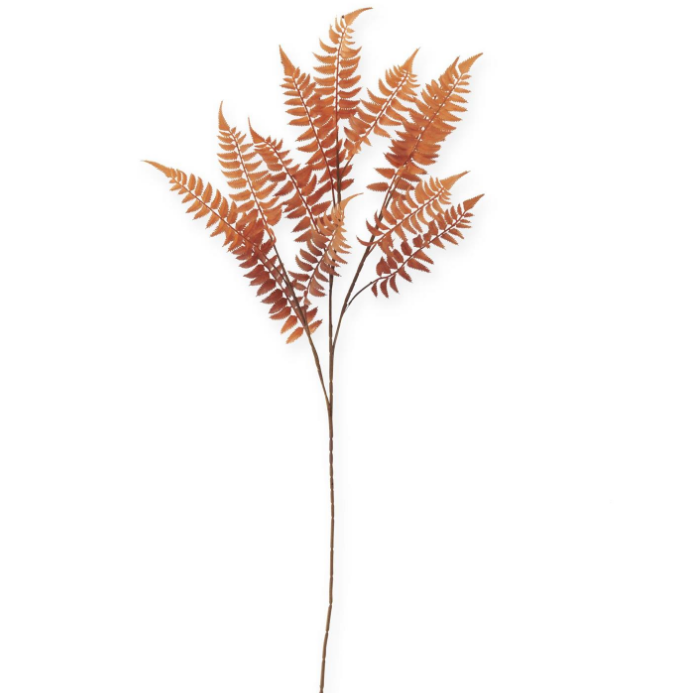 Flower - 39 Inch Orange w/Brown Speckles Real Touch Lady Fern