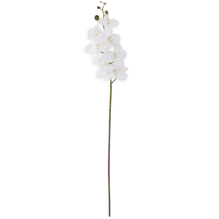 Flower - 34.5 Inch White Real Touch Orchid Single Stem