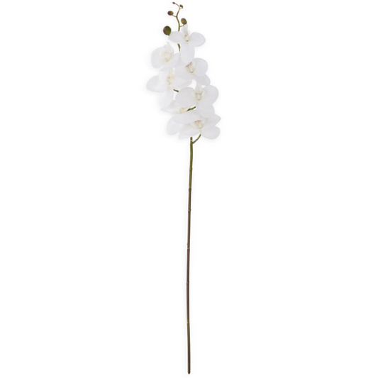 Flower - 34.5 Inch White Real Touch Orchid Single Stem