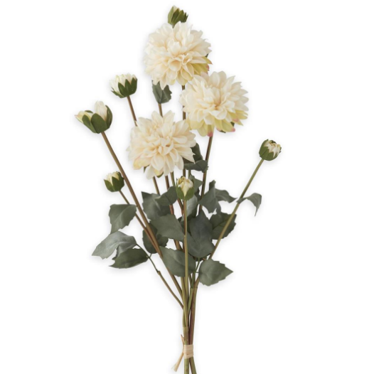 Flower - 23 Inch Faux Dried Cream Real Touch Dahlia Single Stem
