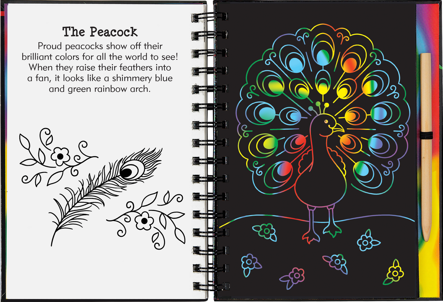 Scratch and Sketch - Rainbow Magic