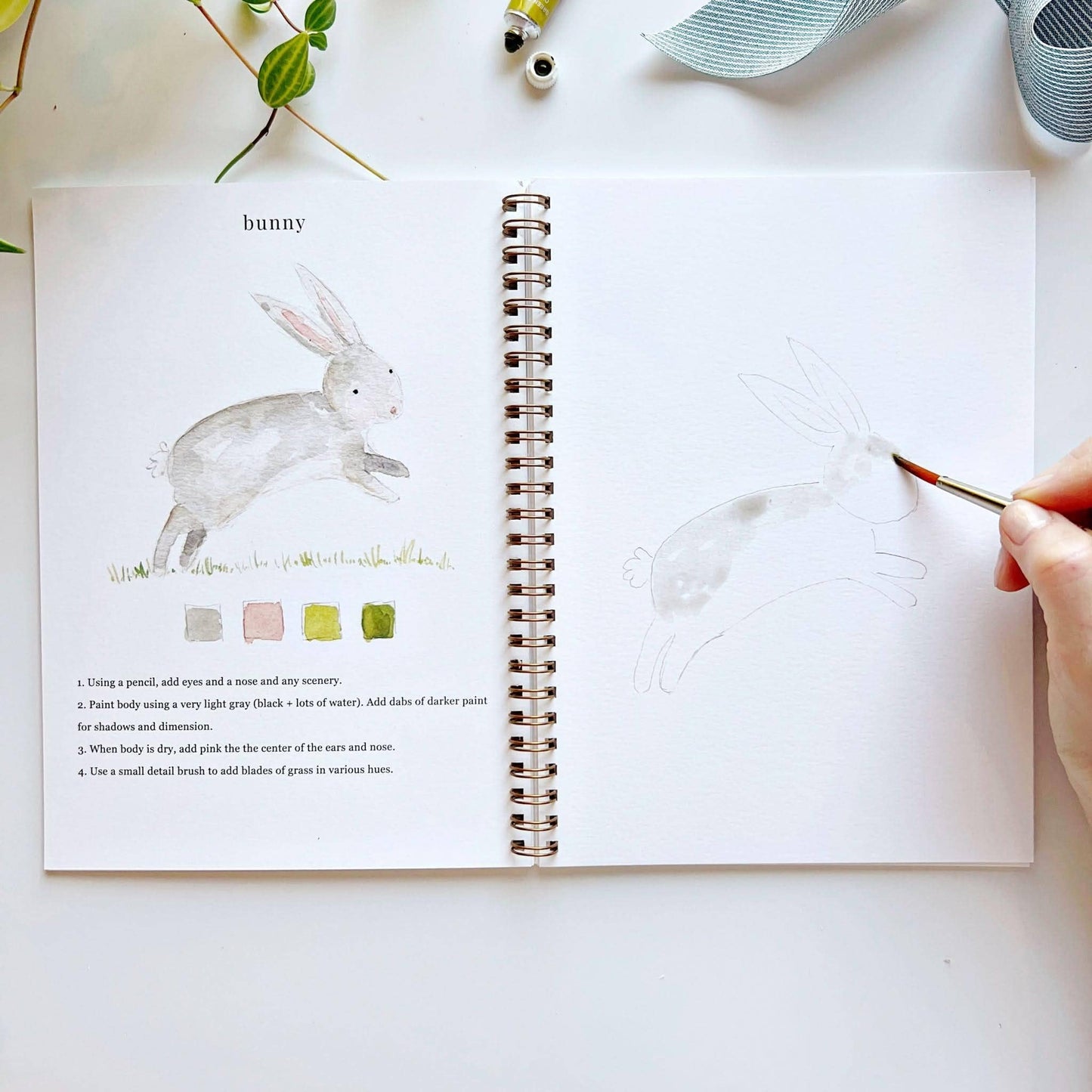 Workbook - Animals watercolor workbook