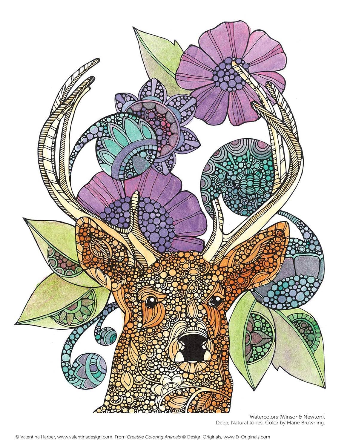 Coloring Book - Creative Coloring Animals - Richly Detailed Designs