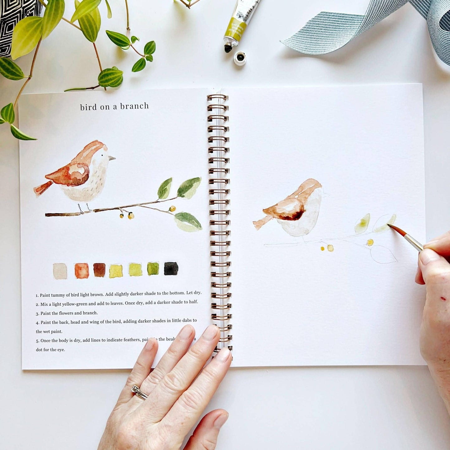 Workbook - Animals watercolor workbook