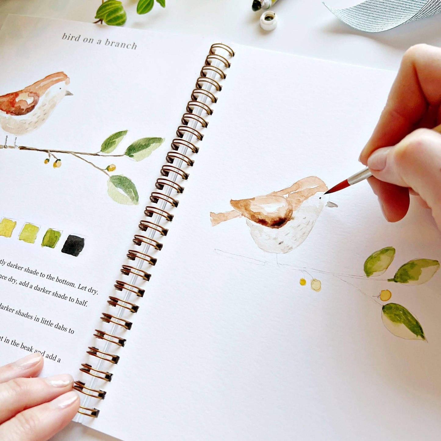 Workbook - Animals watercolor workbook