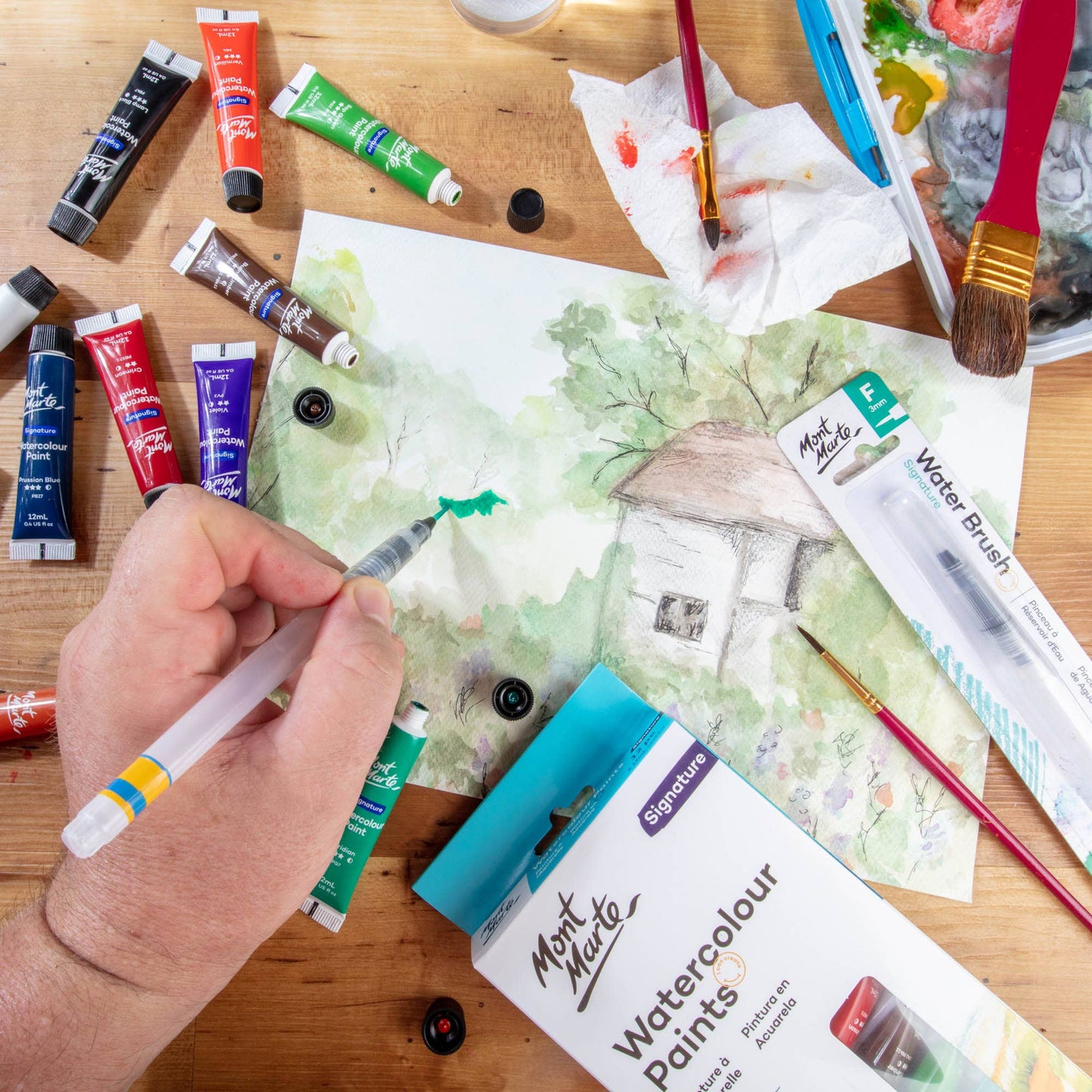 Paint - Watercolor Paints Signature 12pc x 12ml
