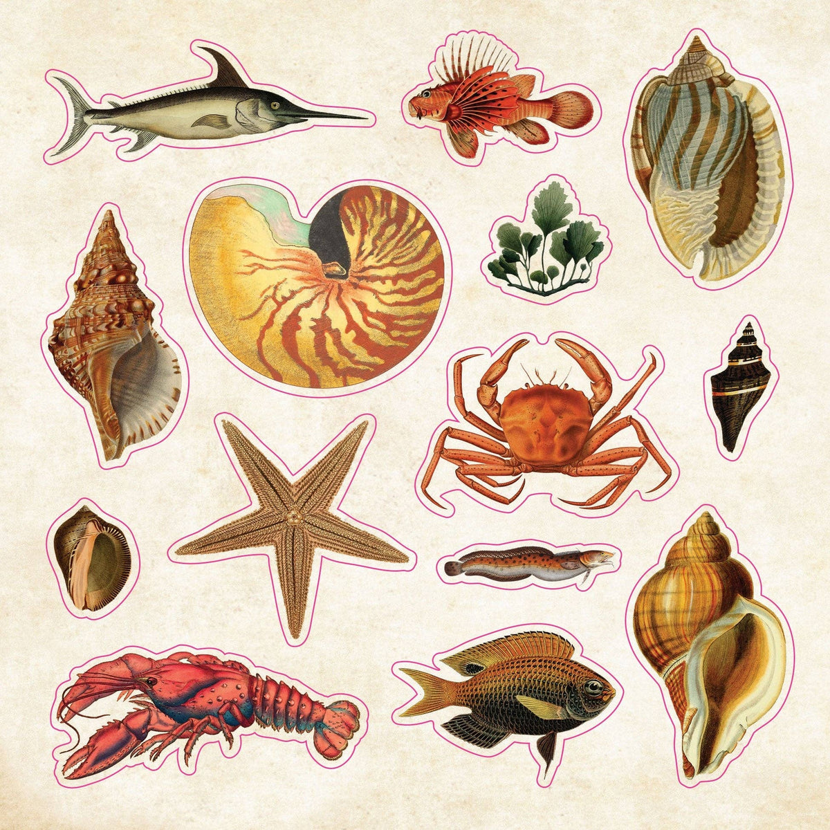 Stickers - The Sticker Book of Curiosities