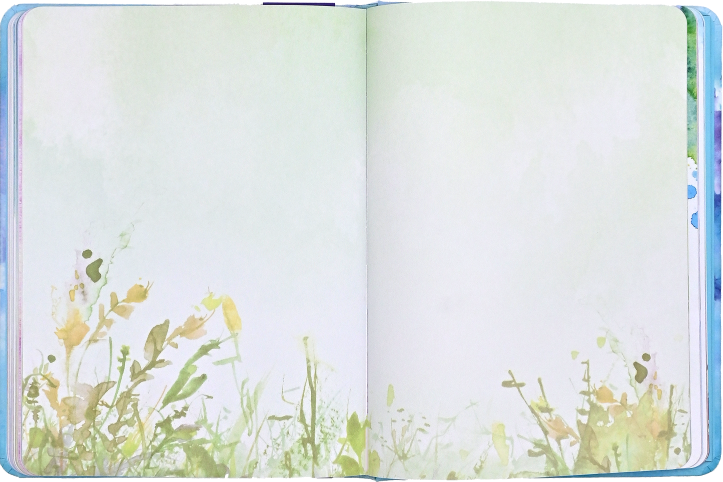 Journal - Reflections (Unlined)