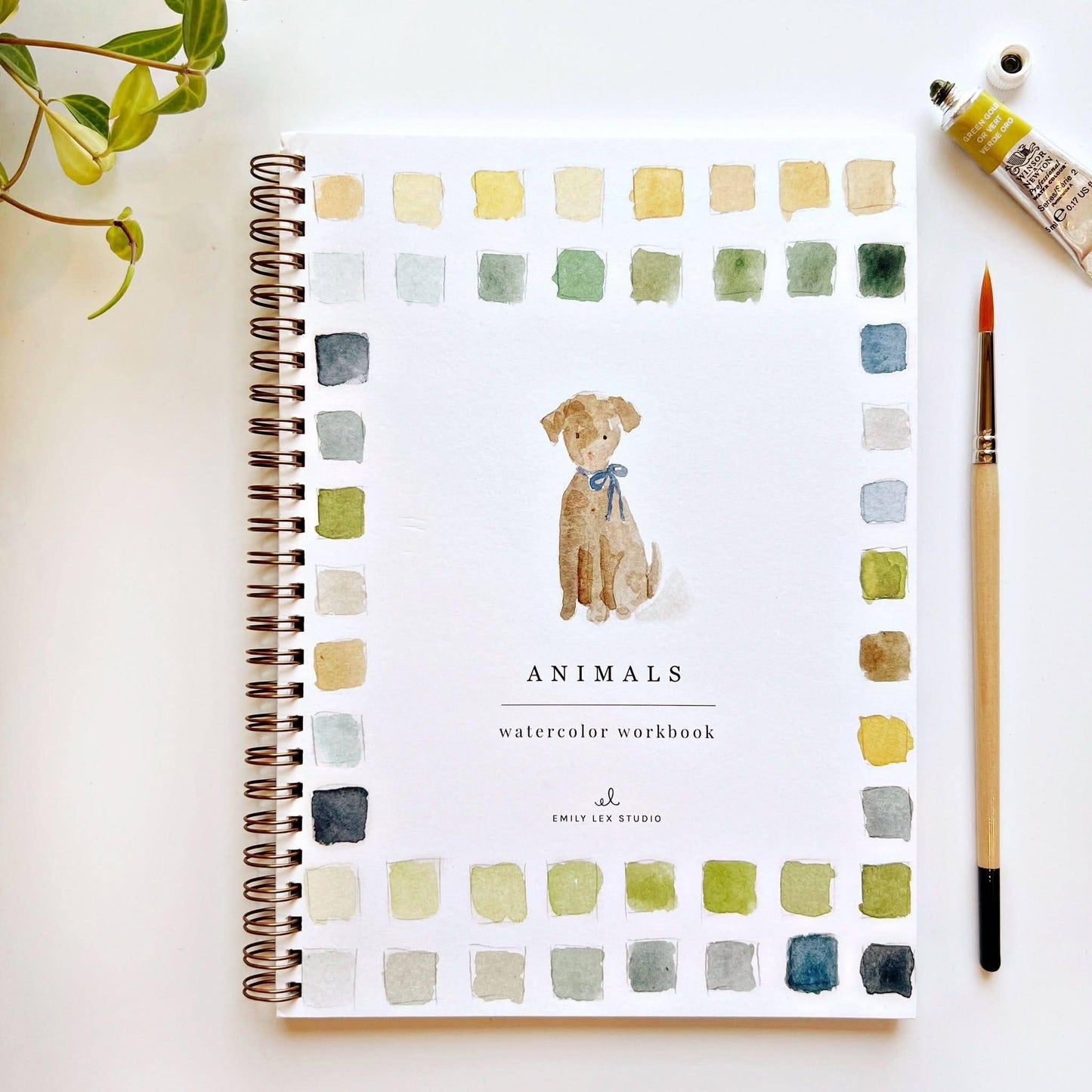 Workbook - Animals watercolor workbook