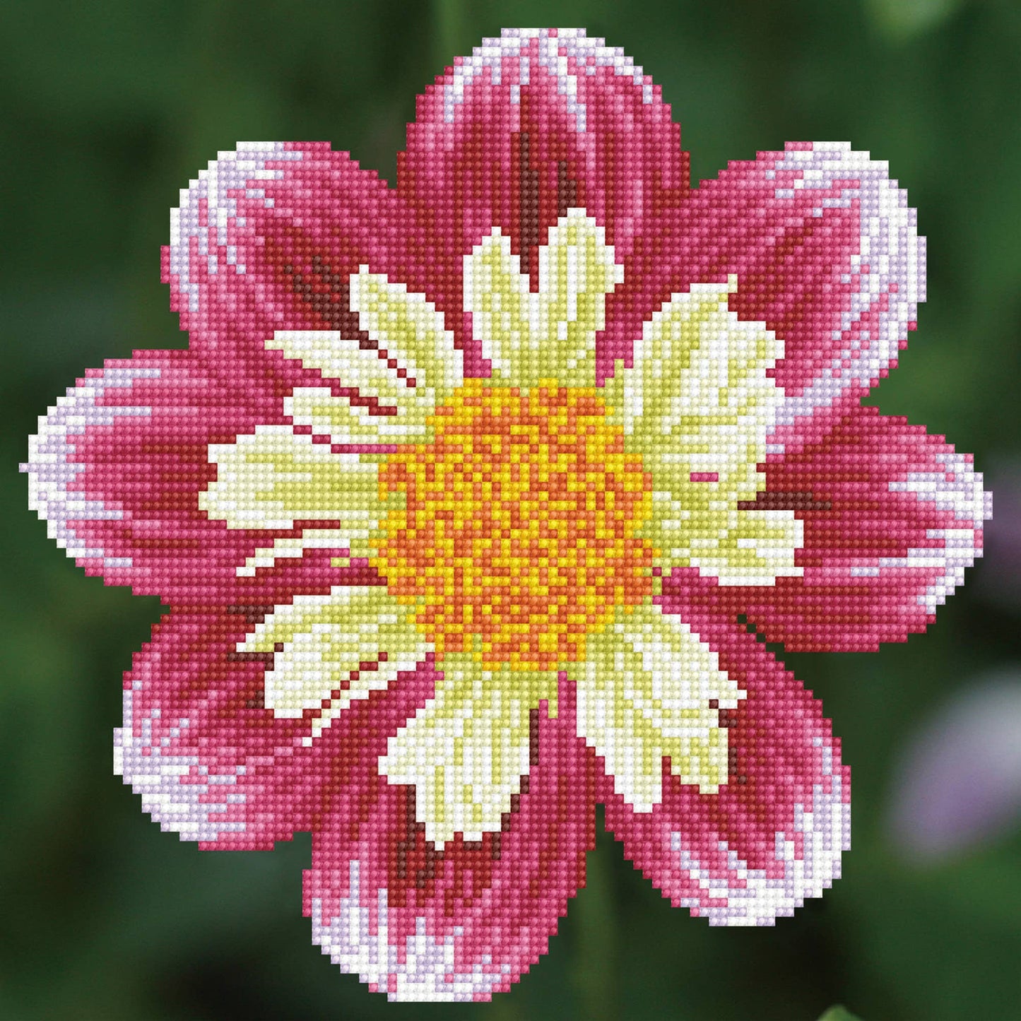 Diamond Dotz - Daisy-a-day