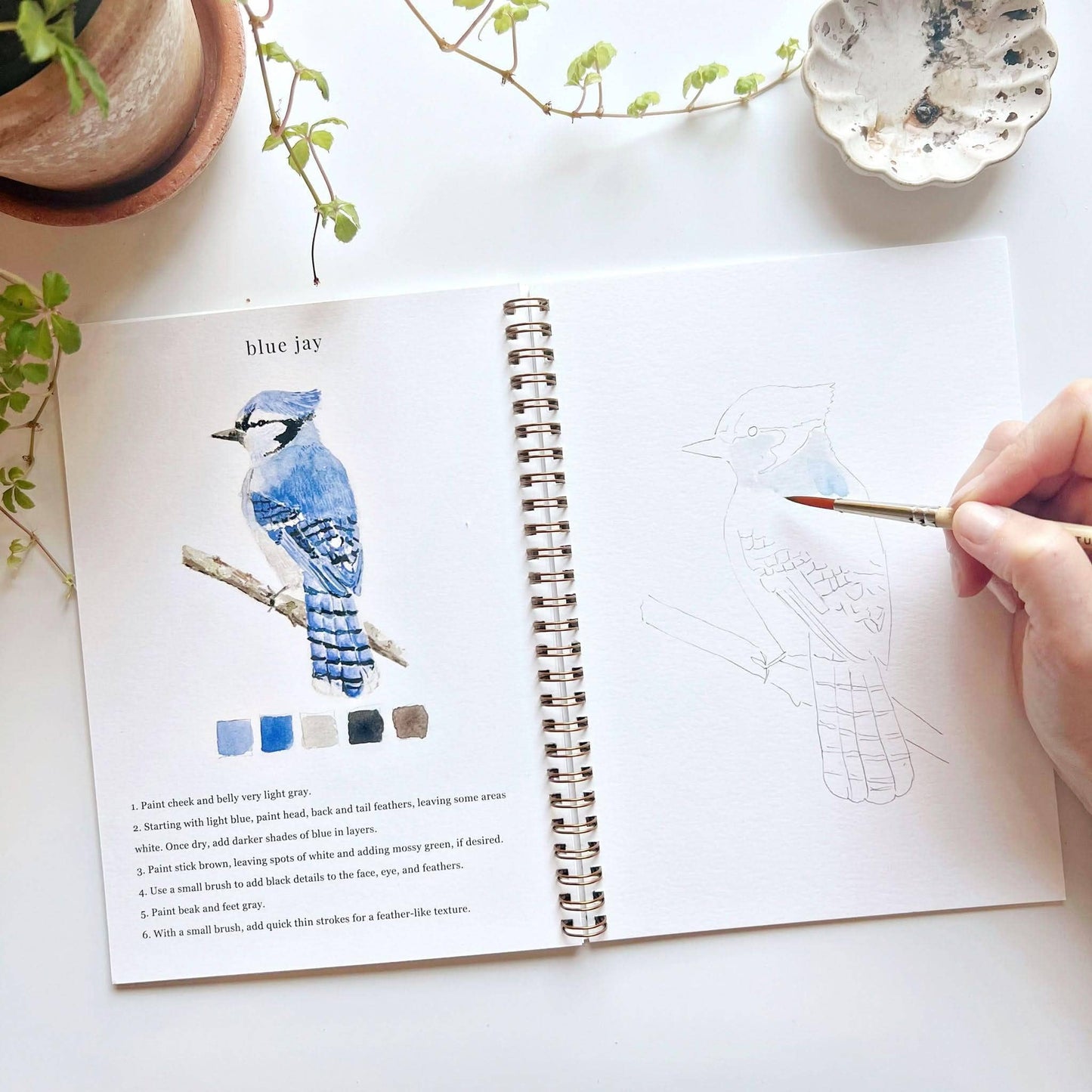 Workbook - Birds watercolor workbook