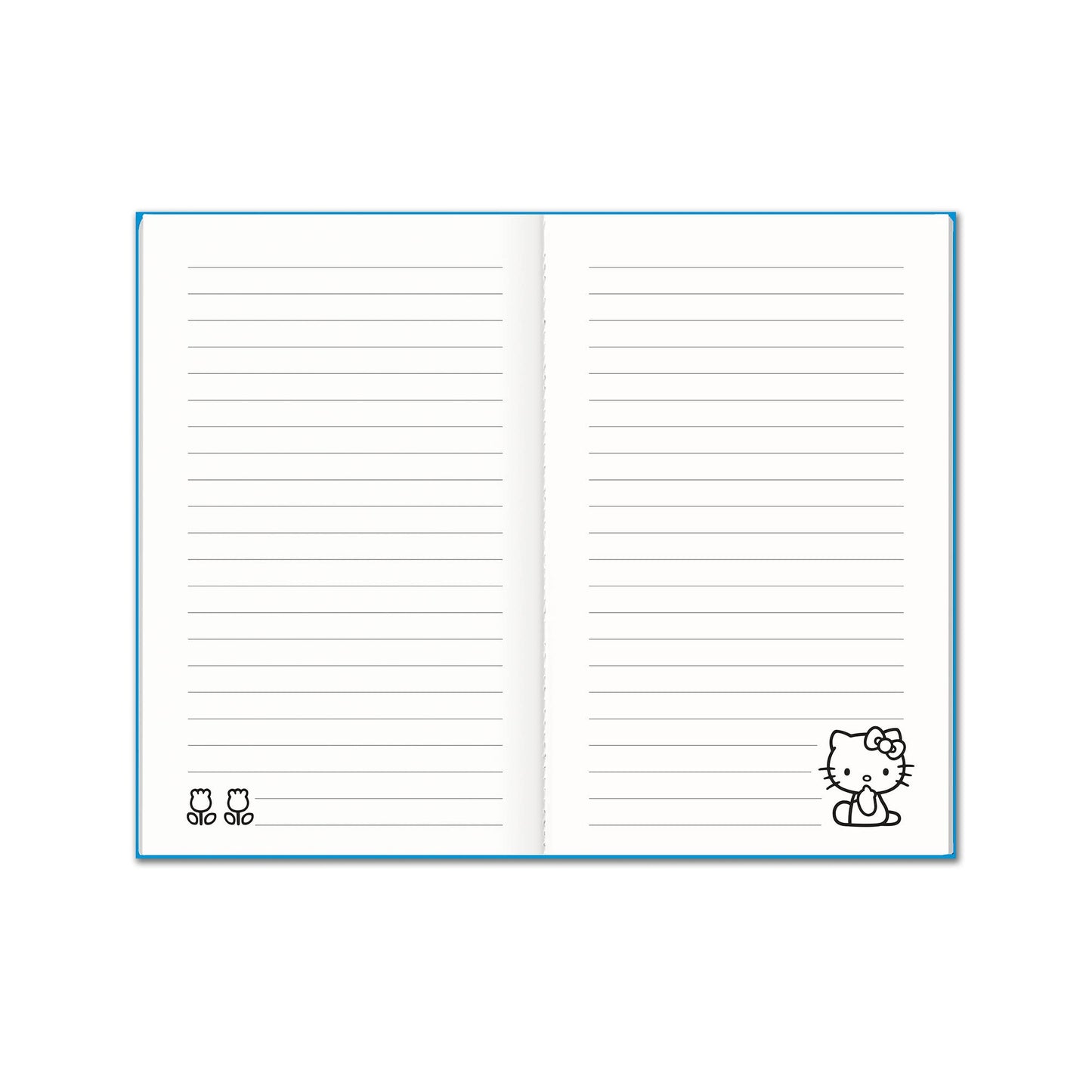 Notebook - Retro Hello Kitty Boxed Mini Notebook Trio