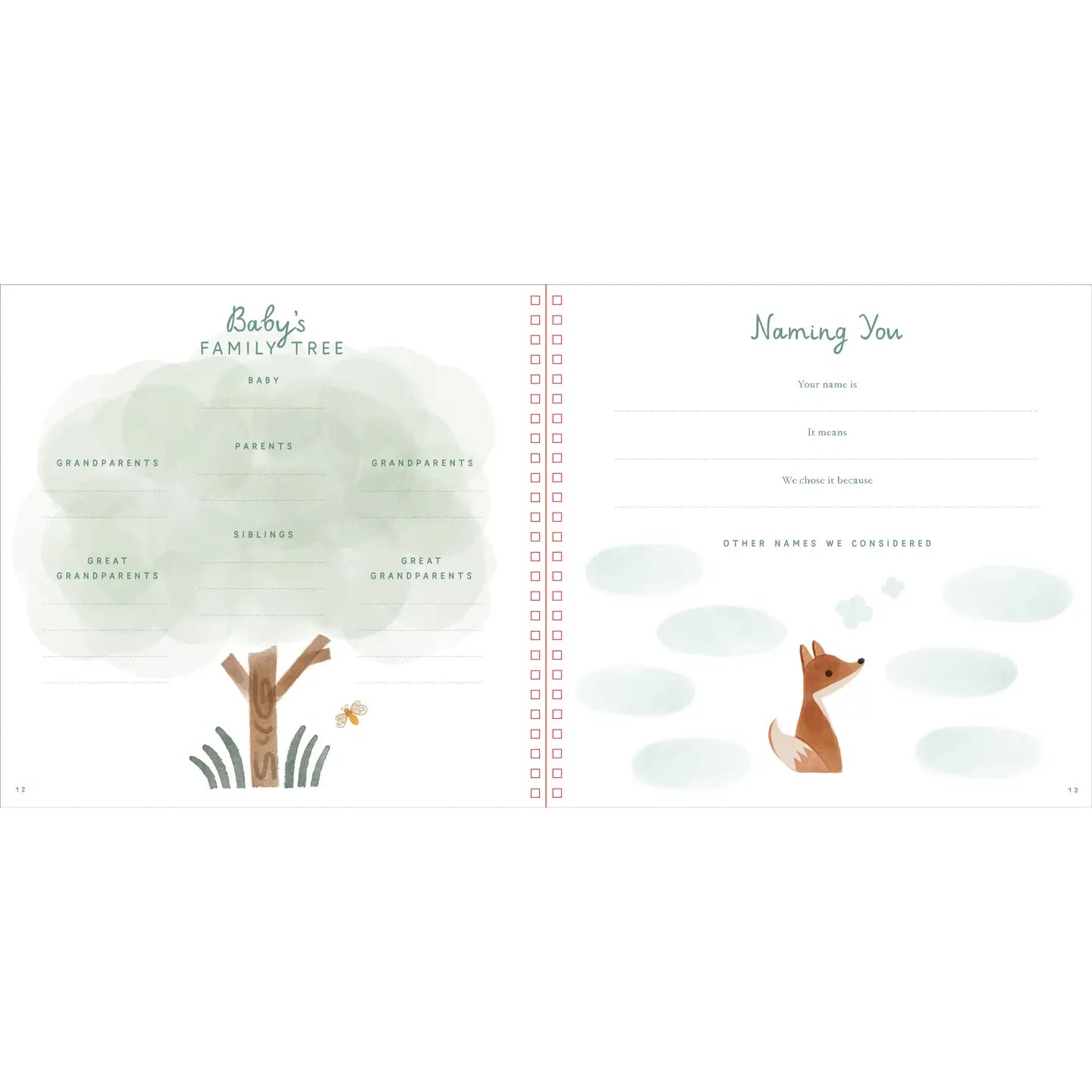 Book - Baby's First Years: A Modern Memory with Keepsake Box