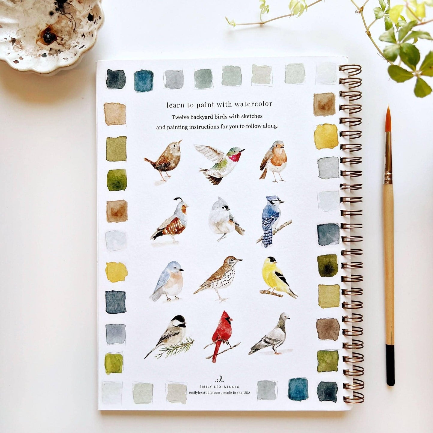 Workbook - Birds watercolor workbook