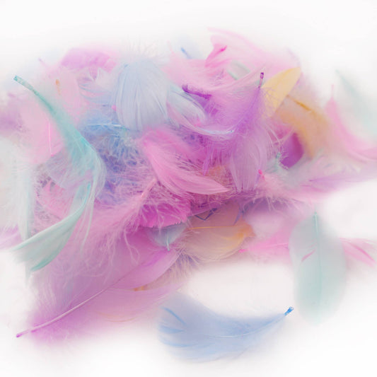 Feathers - in Asst. Pastel Colors, Approx. 100-ct