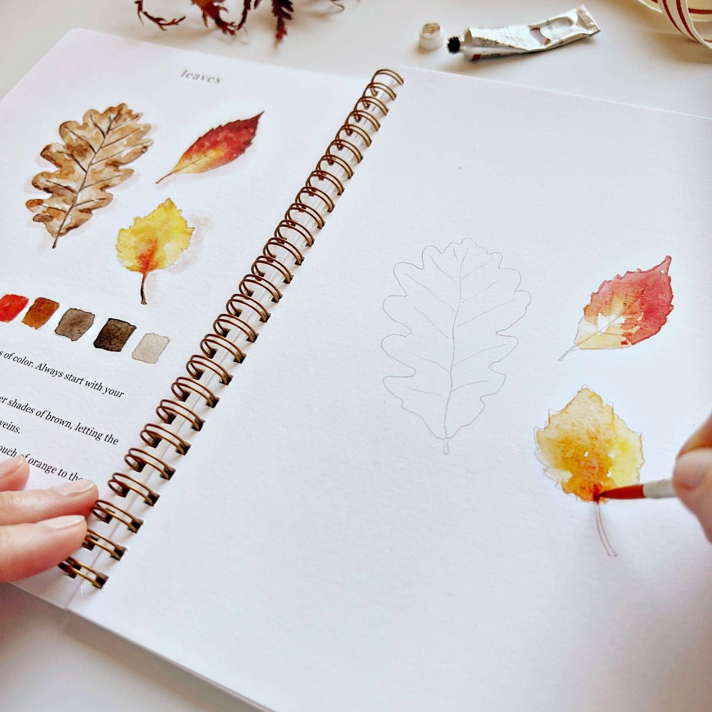 Workbook - Autumn watercolor workbook