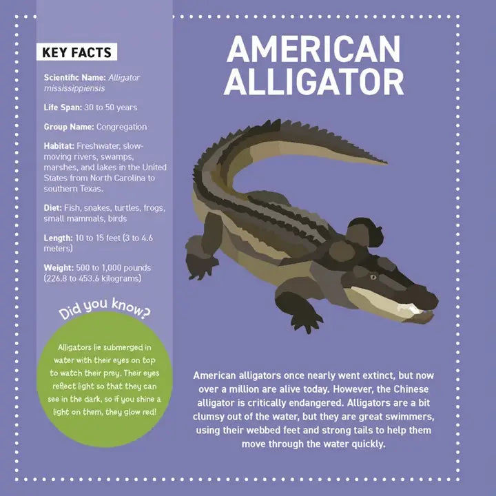 Sticker - My Sticker Painting Book Reptiles