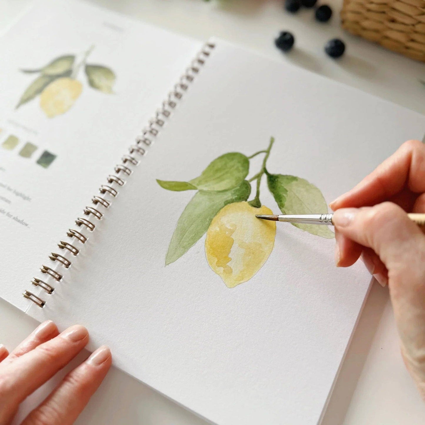Workbook - Fruit watercolor workbook