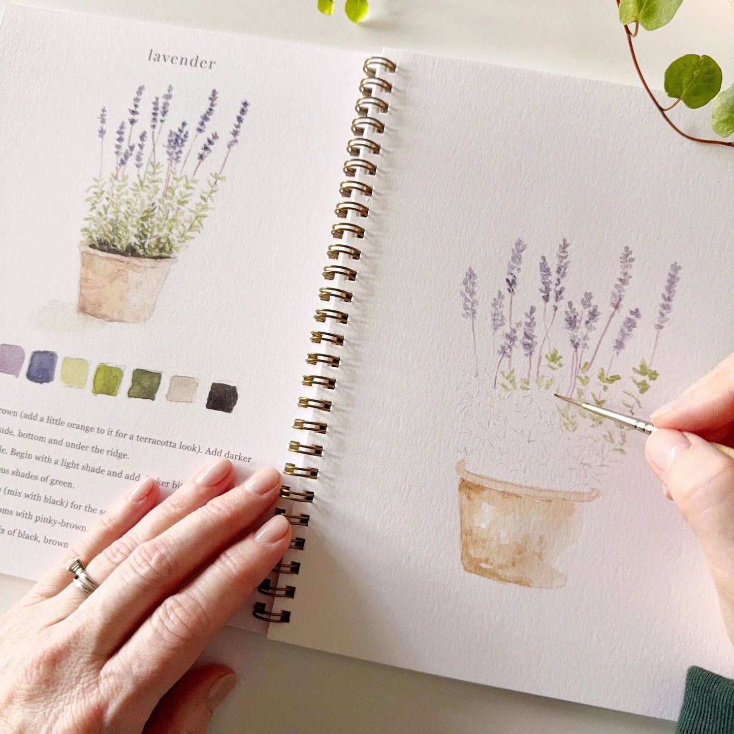 Workbook - Garden watercolor workbook
