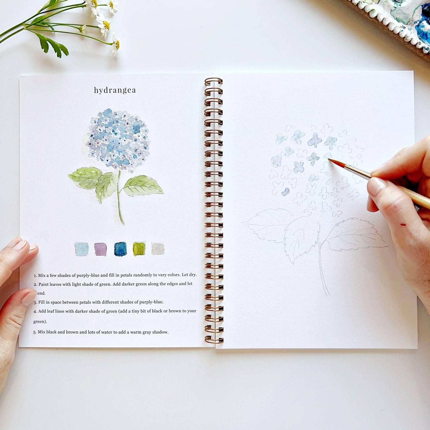 Workbook - Flowers watercolor workbook