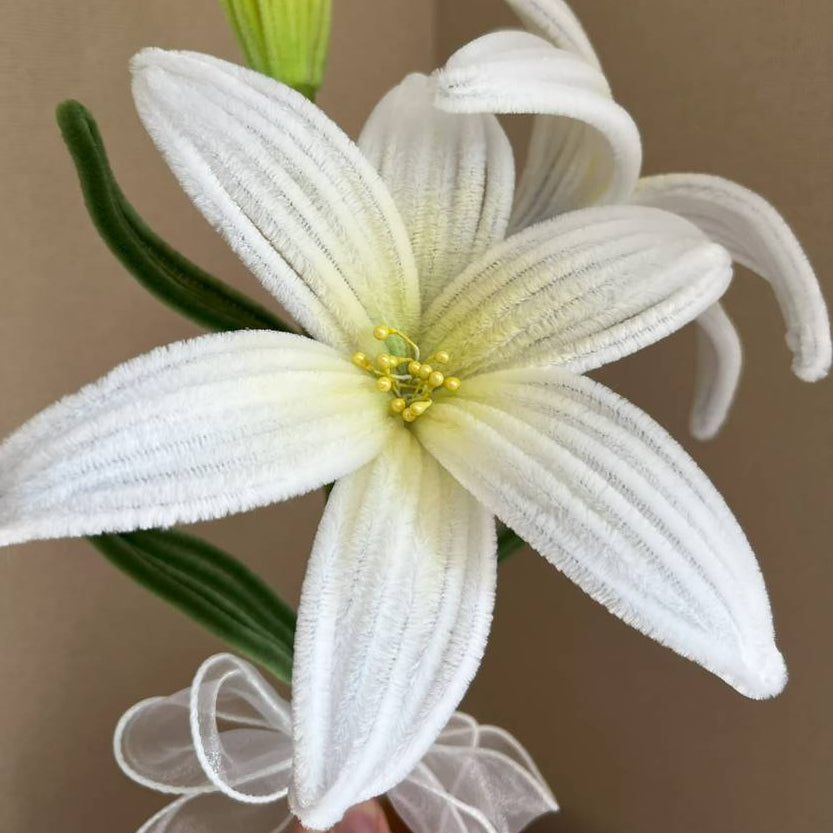 Pipe Cleaners - White 25ct